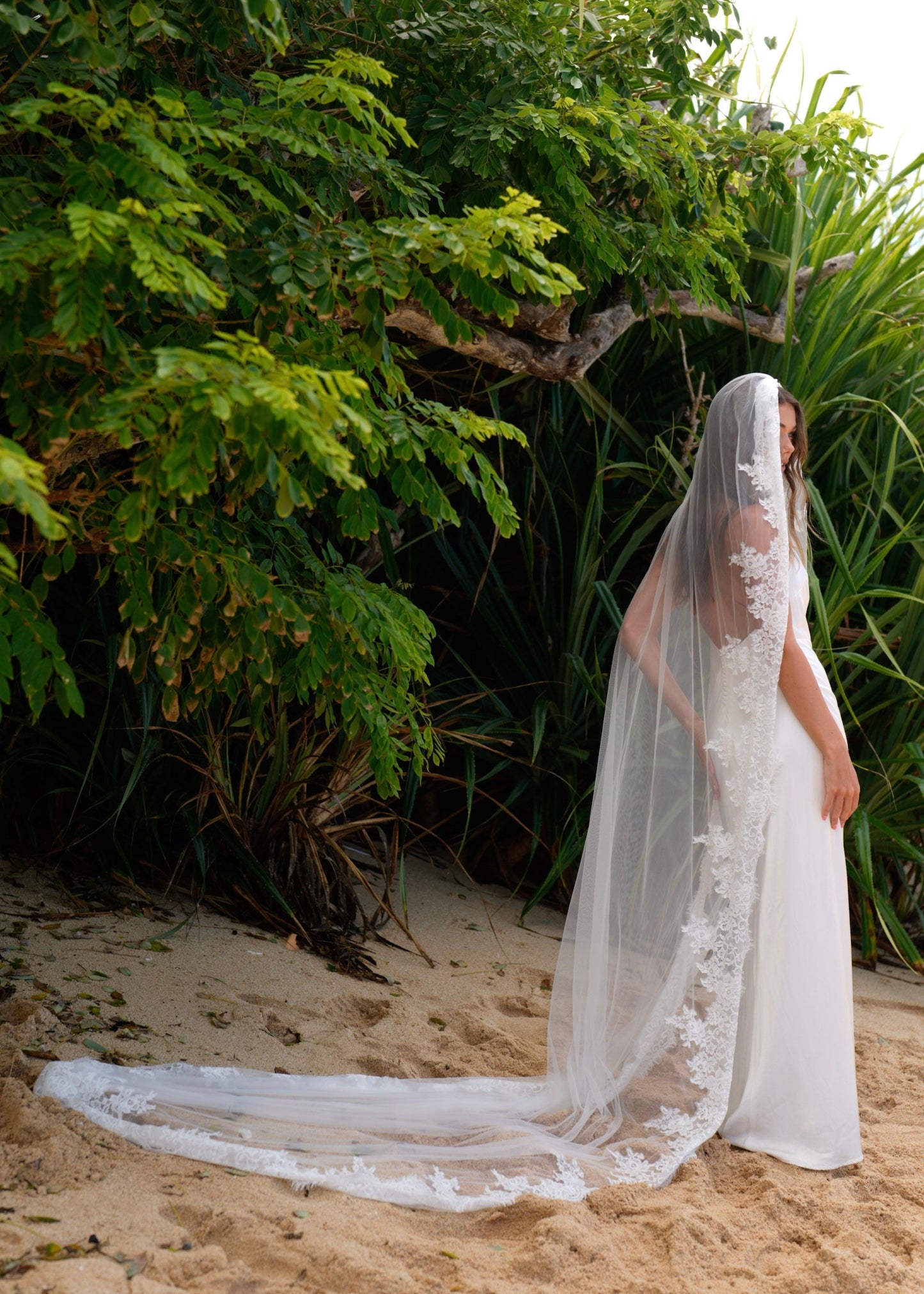 ROYAL LACE VEIL, SINGLE TIER, CATHEDRAL LENGTH