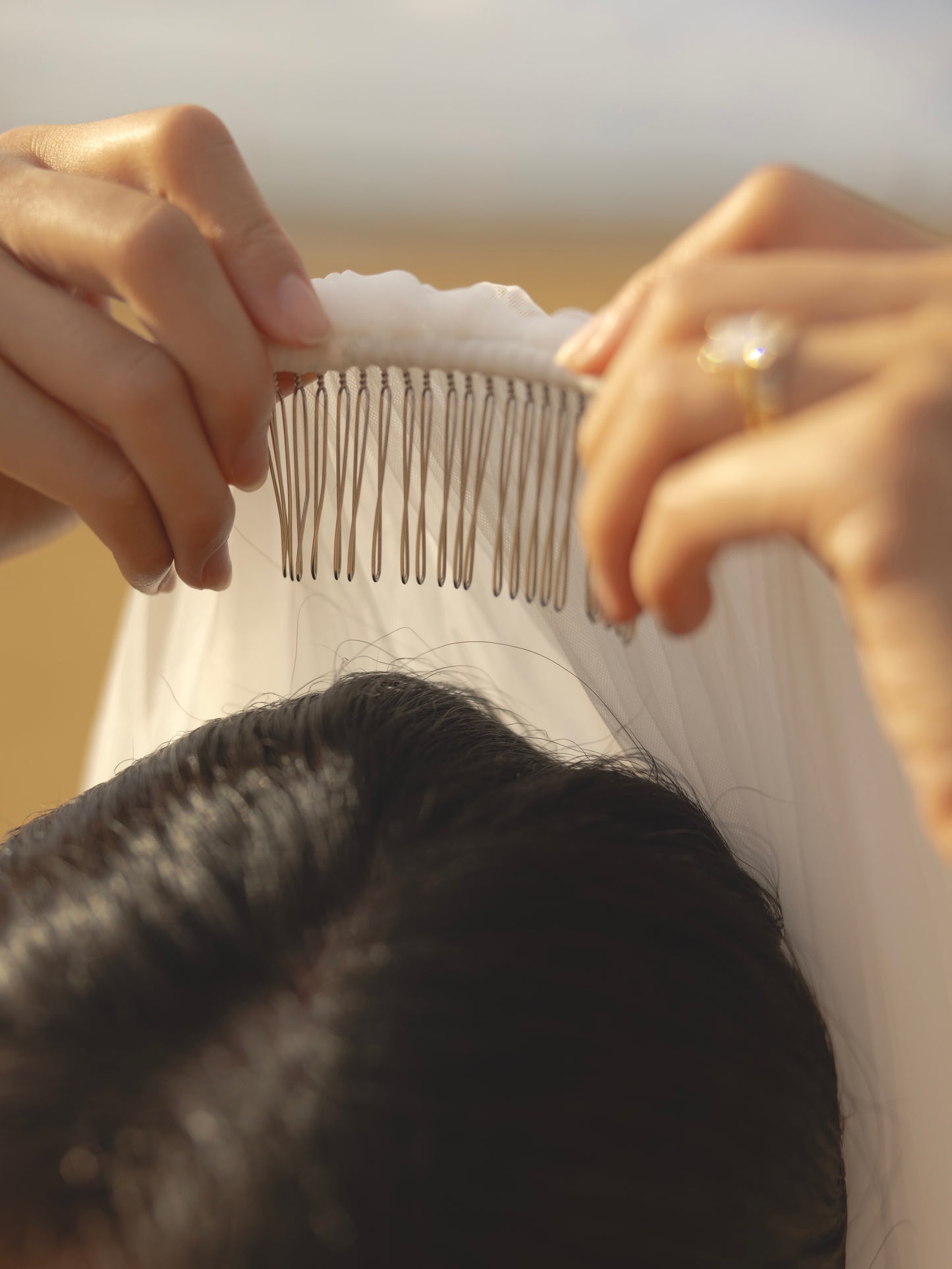 FOR SARAH H - SIMPLE PLAIN CLASSIC VEIL, CHAPEL LENGTH, SINGLE TIER