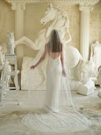 For Abby- Pearl Veil, Single Tier, Cathedral Length