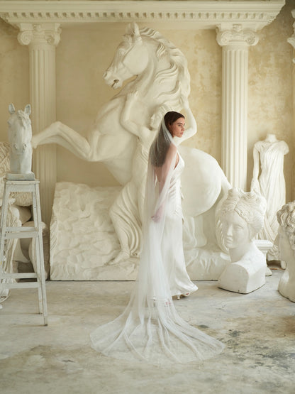 For Abby- Pearl Veil, Single Tier, Cathedral Length