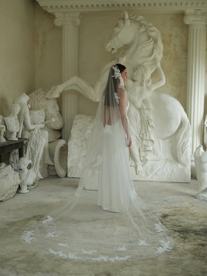 For Madeleine - Floral Lace Veil, Single Tier, Cathedral Length