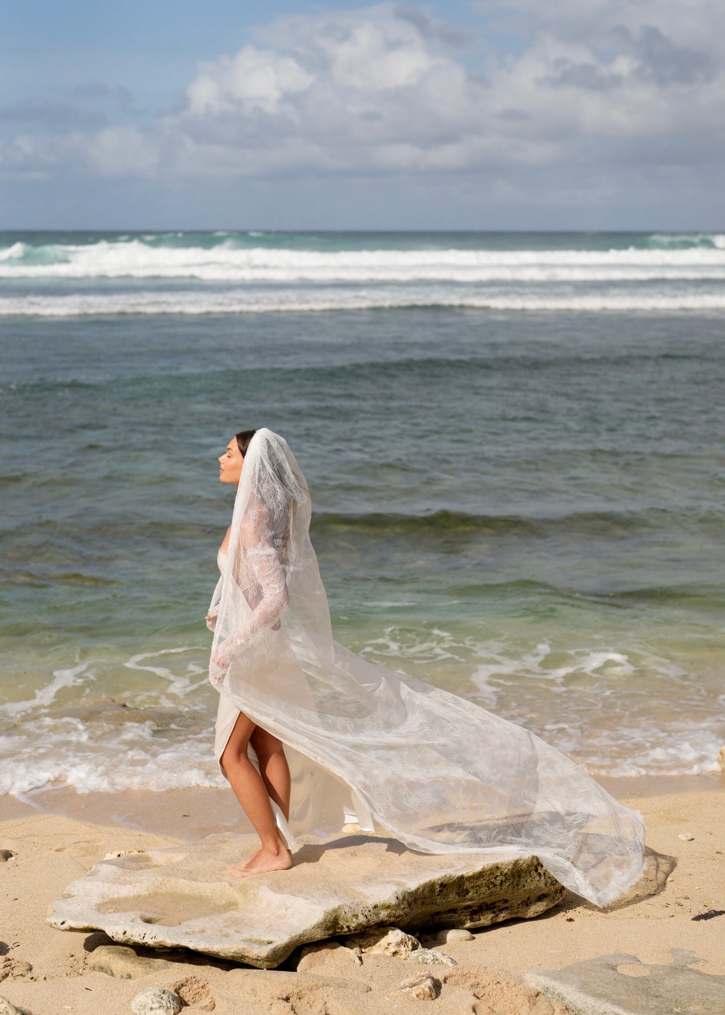 CHANTILLY ALL OVER LACE VEIL, SINGLE TIER, CATHEDRAL LENGTH
