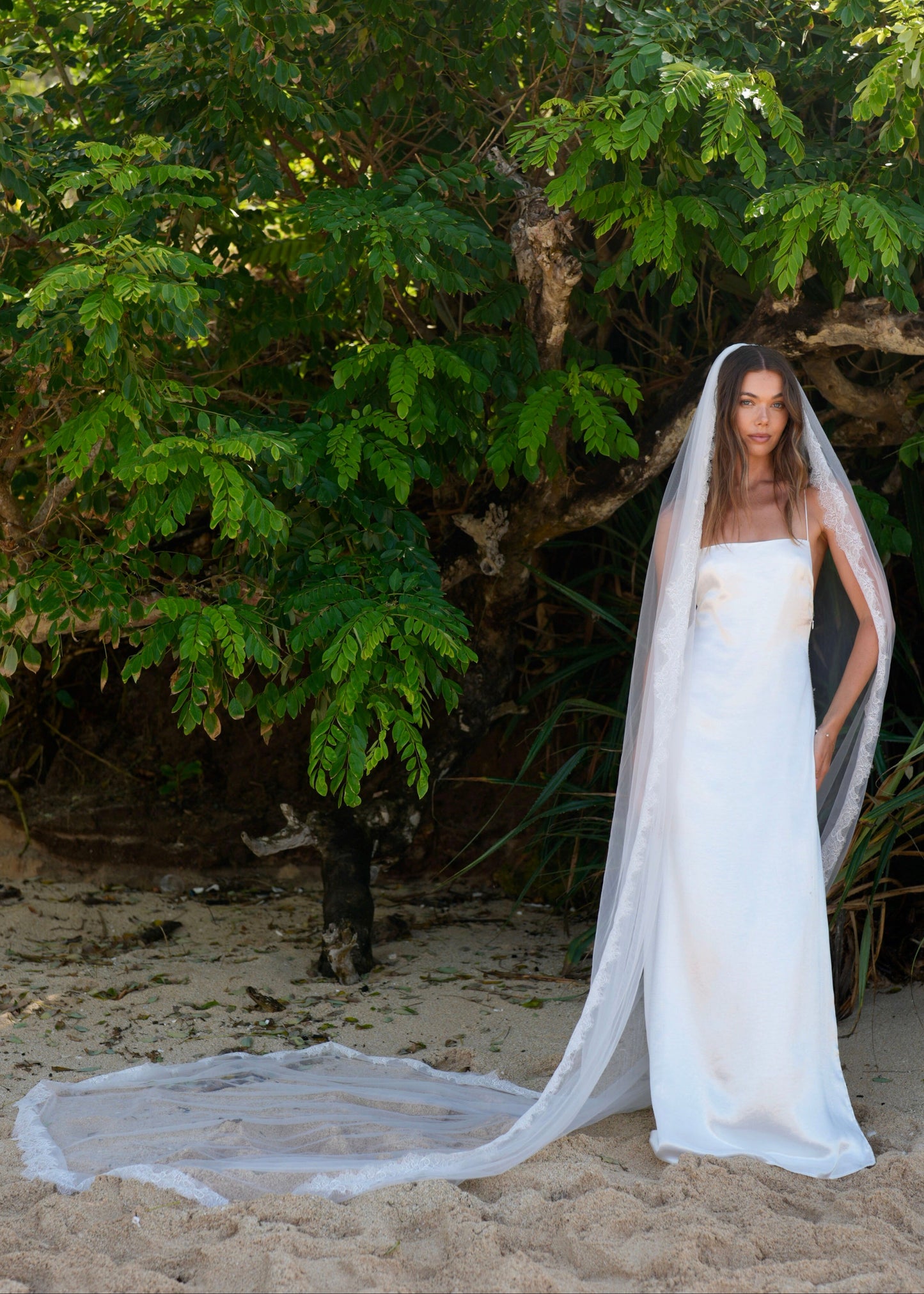 CHANTILLY LACE VEIL, SINGLE TIER, CATHEDRAL LENGTH